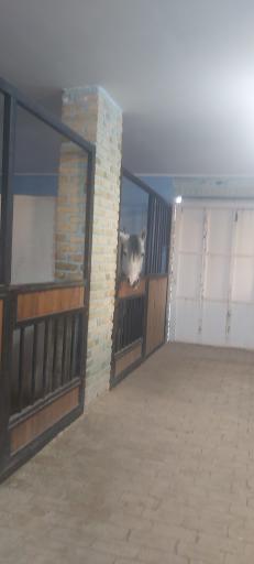 عکس باشگاه سوارکاری اسب پردیسان