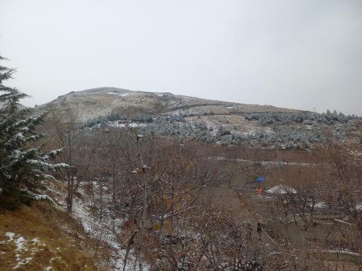 عکس بوستان نیلوفر