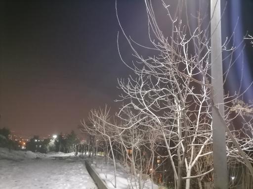 عکس بوستان نیلوفر