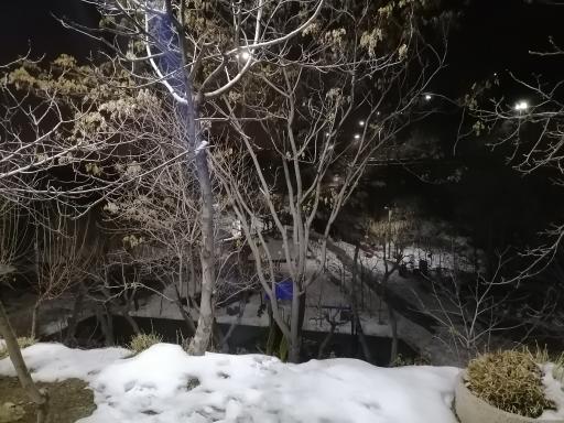 عکس بوستان نیلوفر