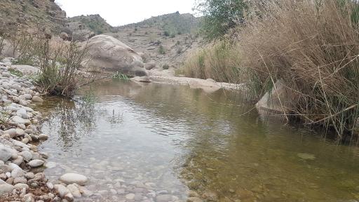 عکس رودخانه دز