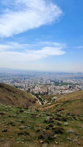 عکس بوستان نیلوفر