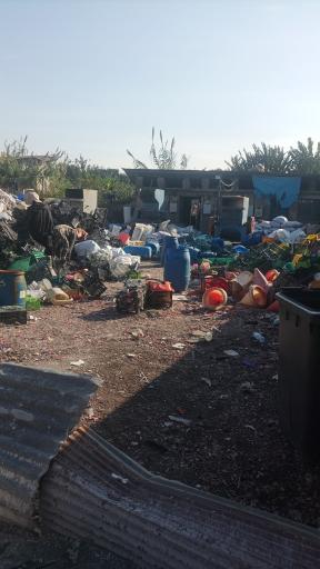 عکس آسیاب سبد کریمی 