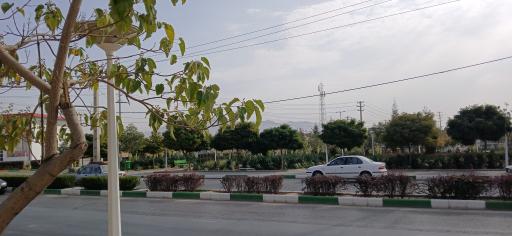 عکس  مهرگان 2