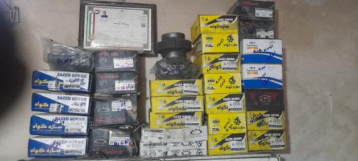 عکس گاردان سازی مسعود زمانی