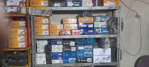 عکس گاردان سازی مسعود زمانی