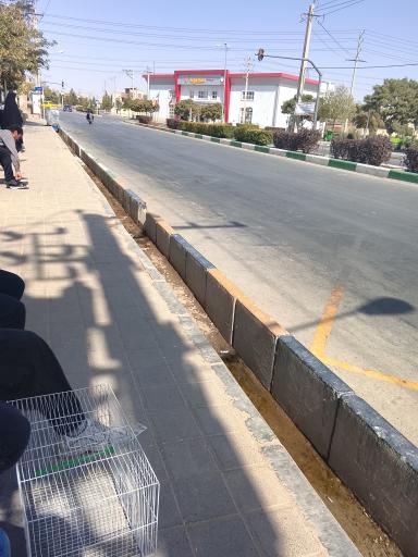 عکس  مهرگان 2