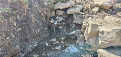 عکس چشمه پیاز چال