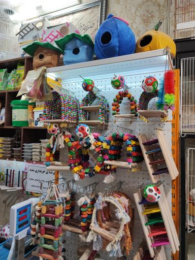 عکس پرنده سرای ققنوس