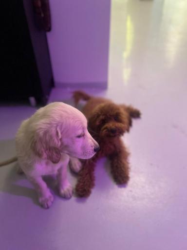 عکس کلینیک تبریز پلاس