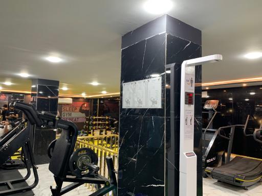 عکس باشگاه آریا من