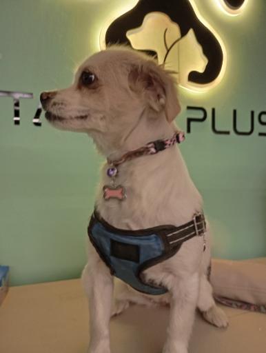 عکس کلینیک تبریز پلاس