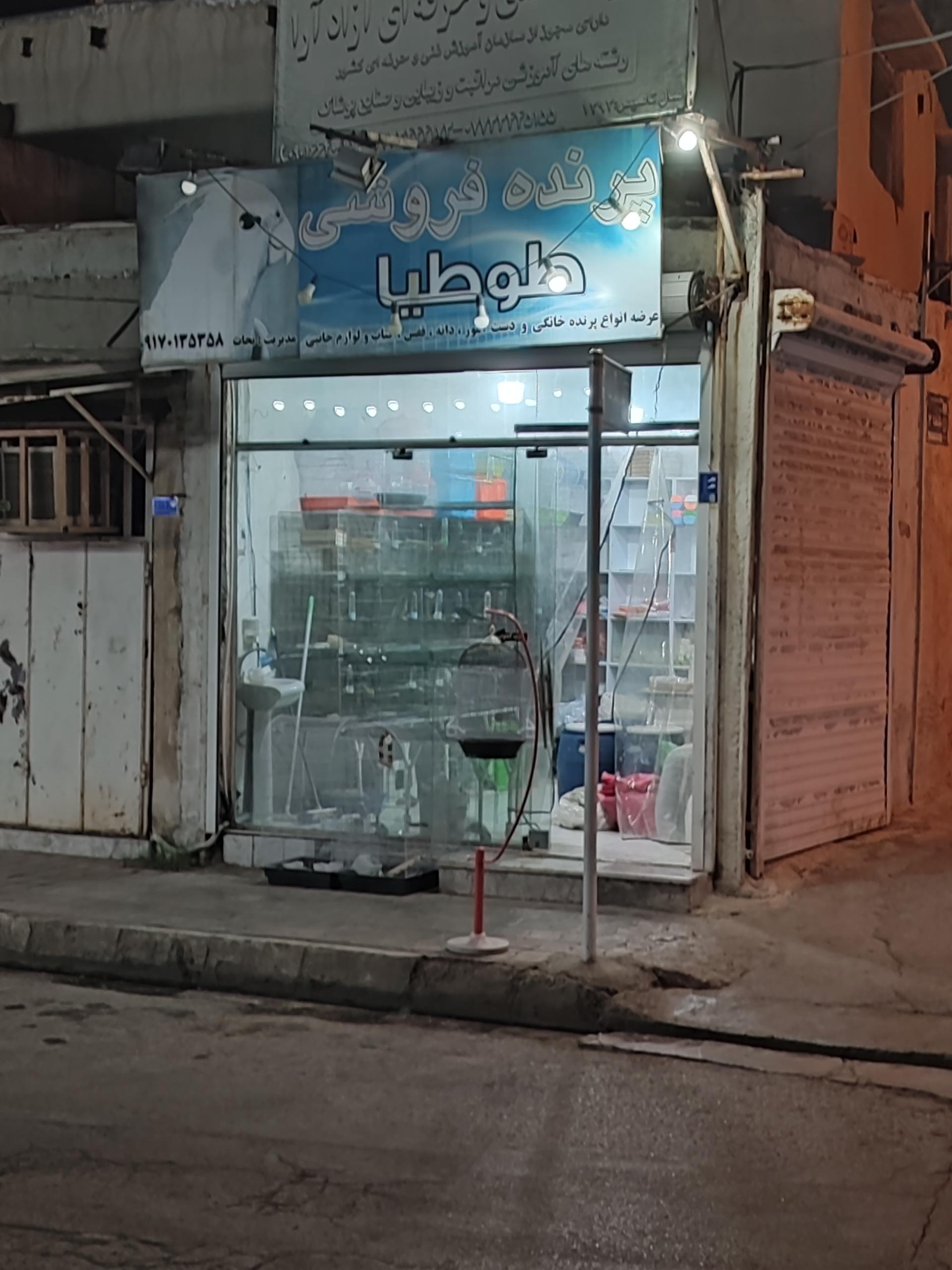 عکس پرنده فروشی طوطیا