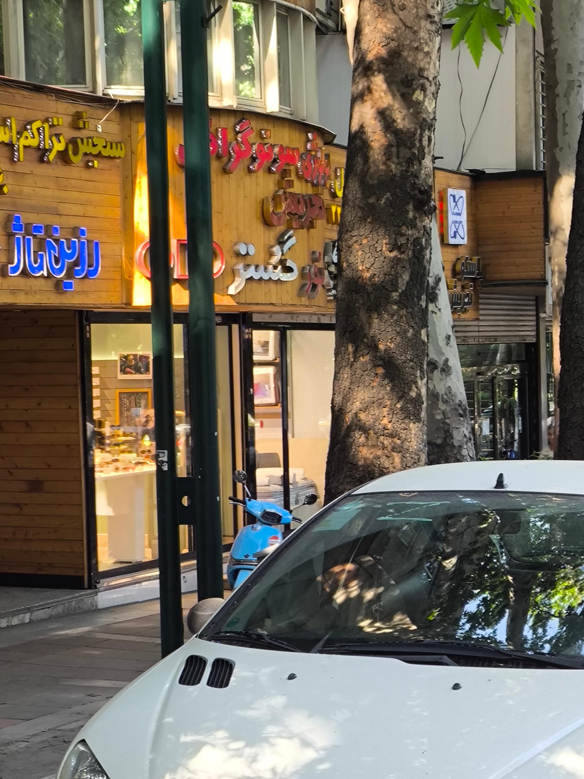 عکس سونوگرافی تجریش 