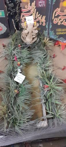 عکس غرفه ماجرای عاشورا