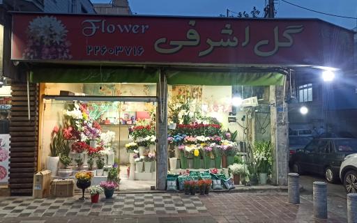 گل اشرفی