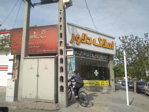 املاک دلاور