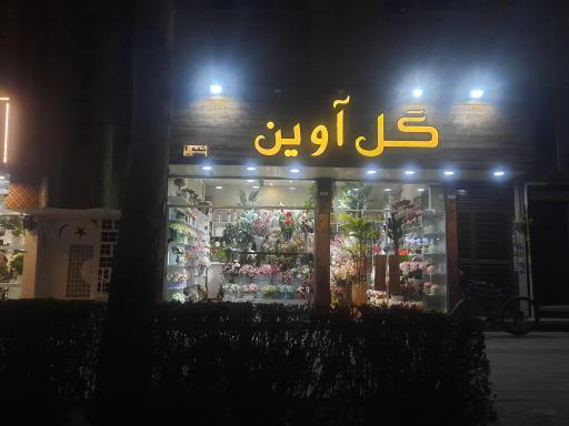 عکس گل آوین