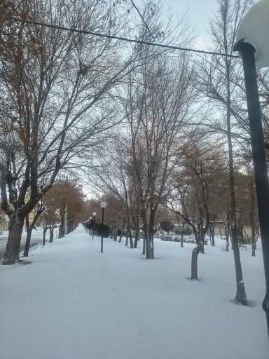 عکس پارک 22 بهمن بیجار