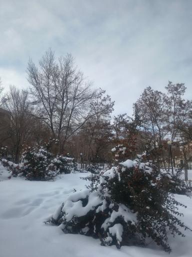 عکس پارک 22 بهمن بیجار