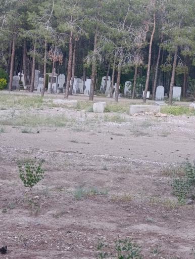 عکس گورستان ارامنه اصفهان