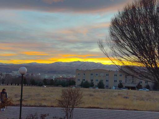 عکس دانشگاه تحصیلات تکمیلی در علوم پایه زنجان