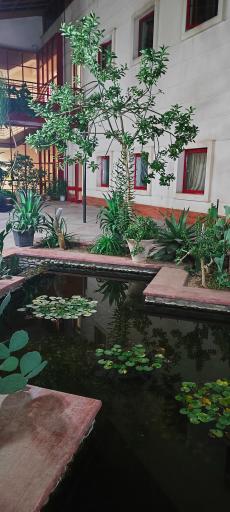 عکس دانشگاه تحصیلات تکمیلی در علوم پایه زنجان