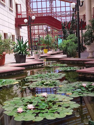 عکس دانشگاه تحصیلات تکمیلی در علوم پایه زنجان