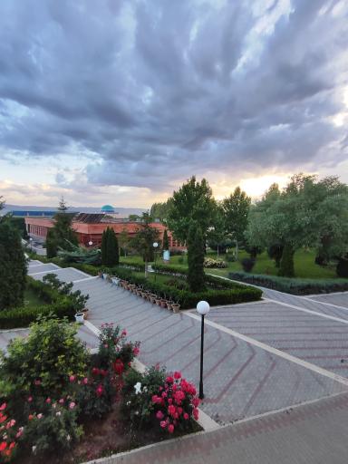 عکس دانشگاه تحصیلات تکمیلی در علوم پایه زنجان