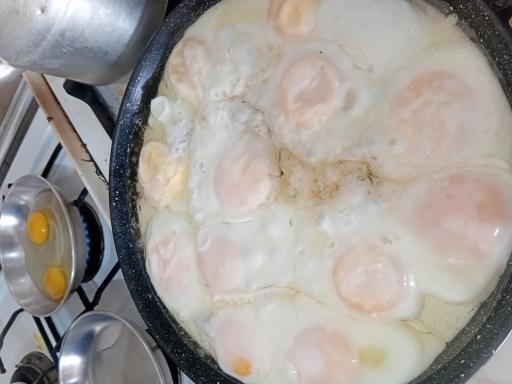 عکس رستوران گیل بانو