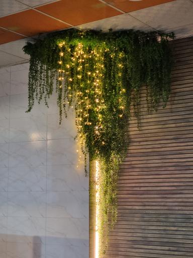 عکس کره کباب آقا رضا