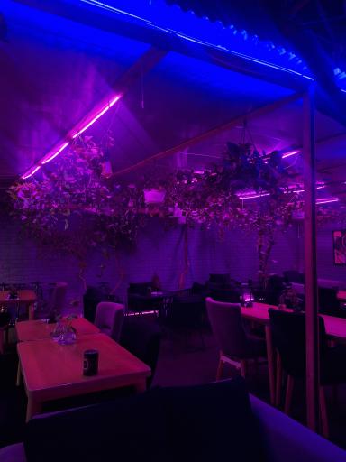 عکس کافه بنفش