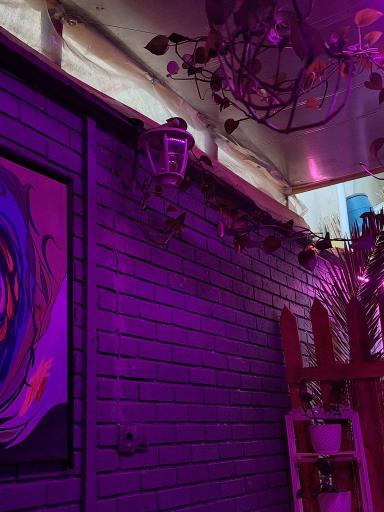 عکس کافه بنفش