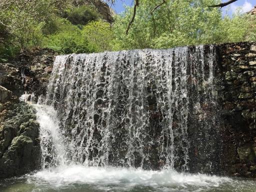 عکس گذر ولی