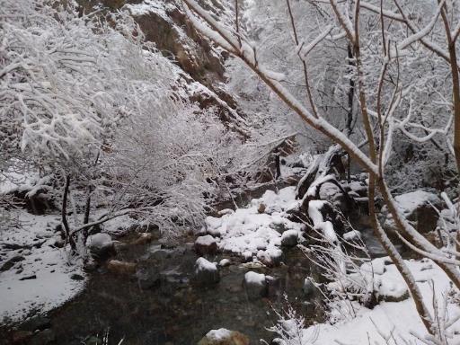 عکس گذر ولی