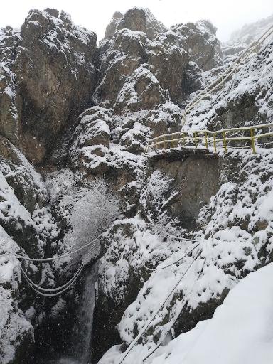 عکس گذر ولی