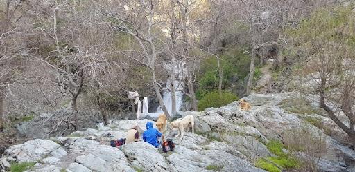 عکس گذر ولی