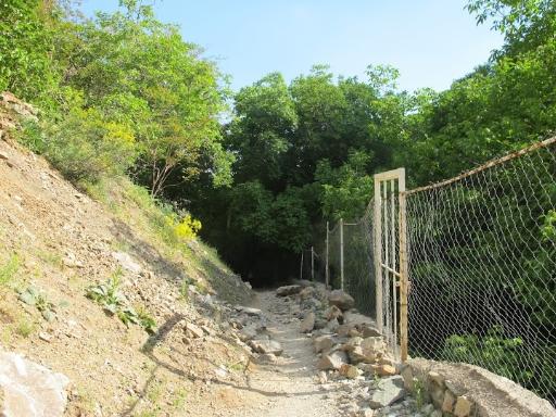 عکس گذر ولی