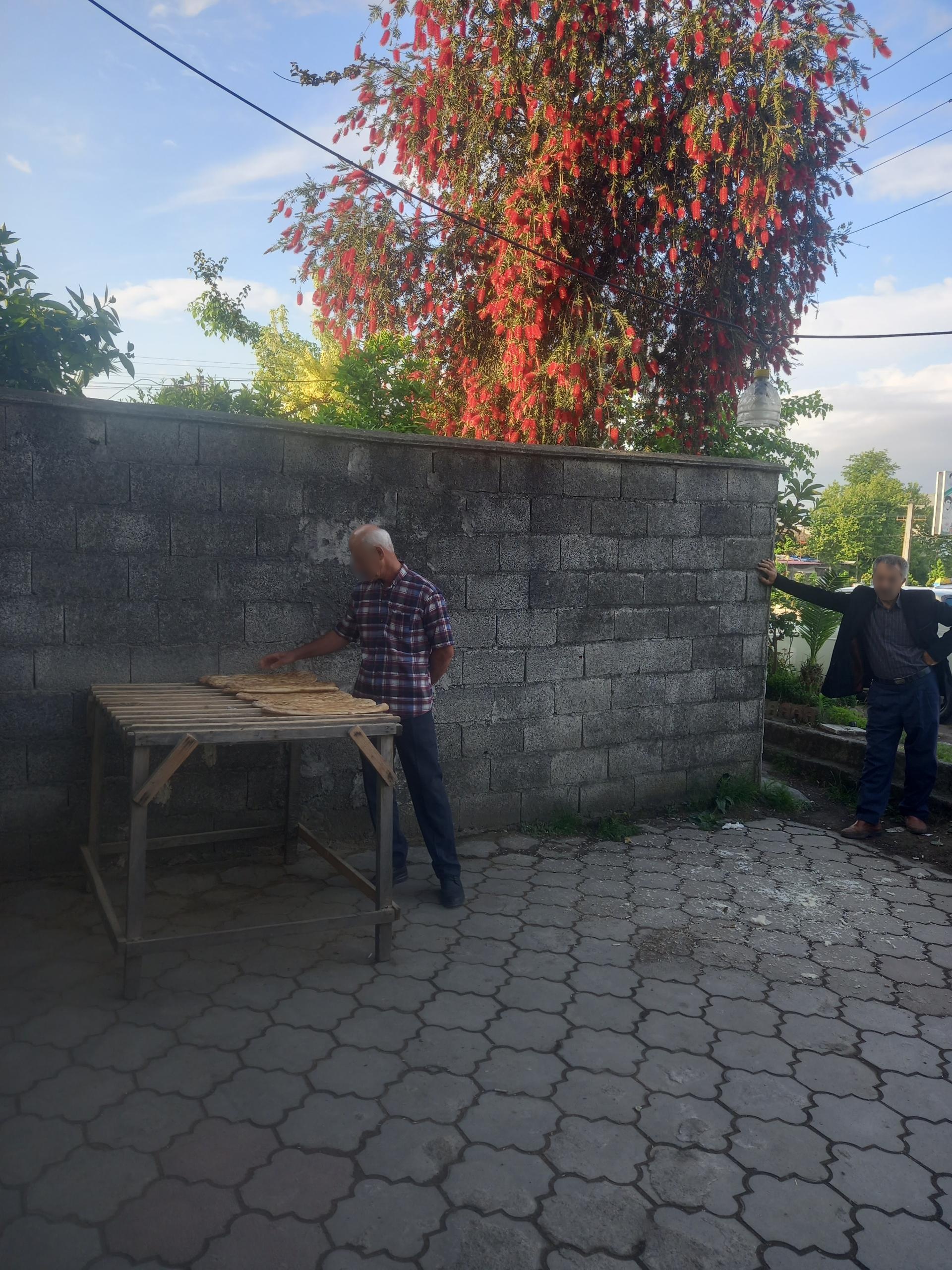 عکس نان بربری شپول کنار