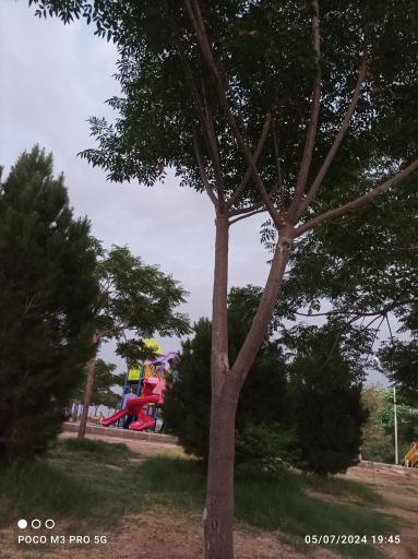 عکس بوستان فدک