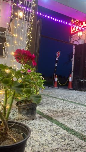 عکس باغچه رستوران ایرانی