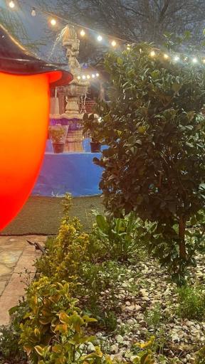 عکس باغچه رستوران ایرانی