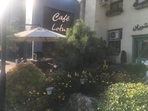عکس رستوران لوتکا لوتوس