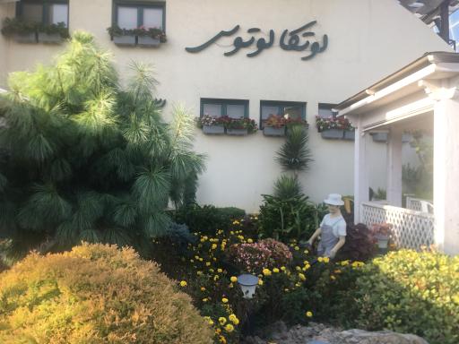 عکس رستوران لوتکا لوتوس