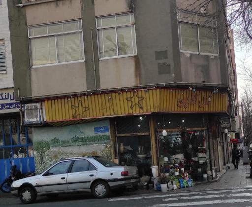 عکس گل آذین