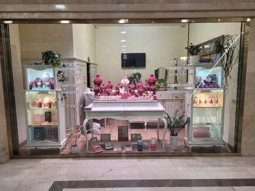 عکس نقره گلاریس