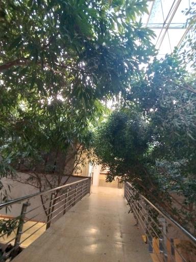 عکس دانشکده معماری و شهرسازی