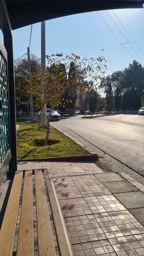 عکس میدان خواجه عمید