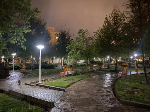 عکس بوستان زنبق