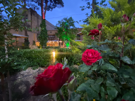 عکس هتل پاسارگاد